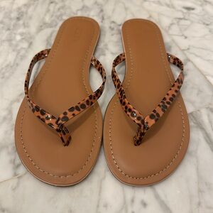 J Crew leopard print flip flops